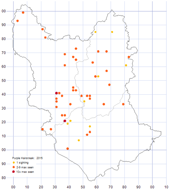 Purple Hairstreak distribution map 2015