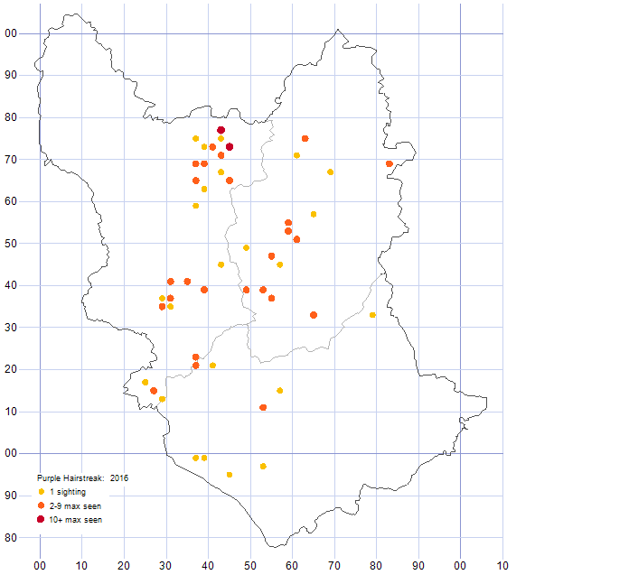 Purple Hairstreak distribution map 2016