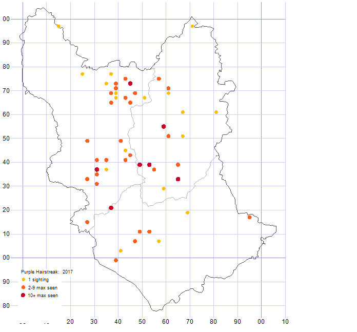 Purple Hairstreak distribution map 2017