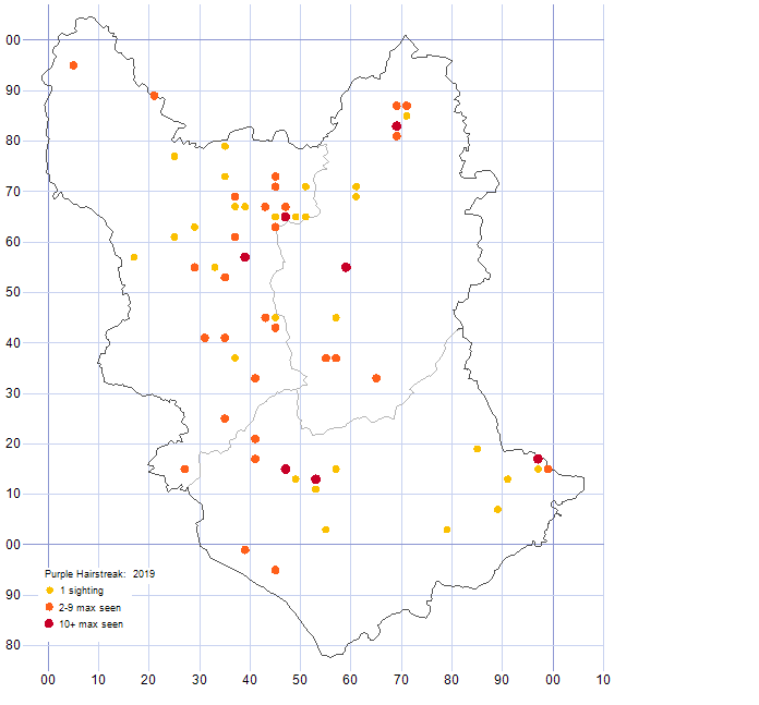 Purple Hairstreak distribution map 2019