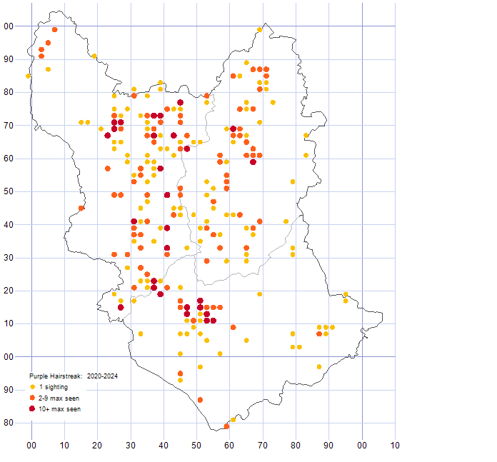 Purple Hairstreak distribution map 2020-24