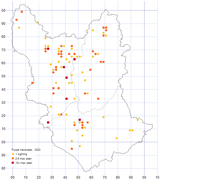 Purple Hairstreak distribution map 2020