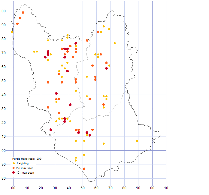 Purple Hairstreak distribution map 2021