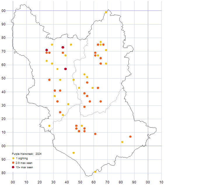 Purple Hairstreak distribution map 2024