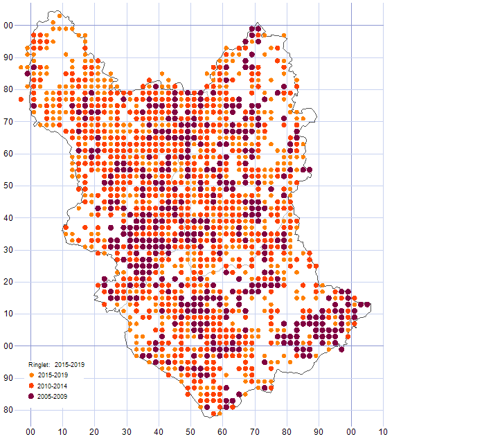 Ringlet distribution map 2005-19