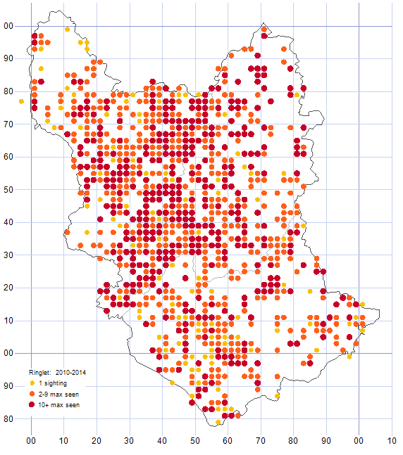 Ringlet distribution map 2010-14
