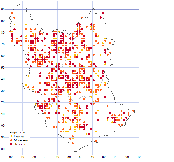 Ringlet distribution map 2016