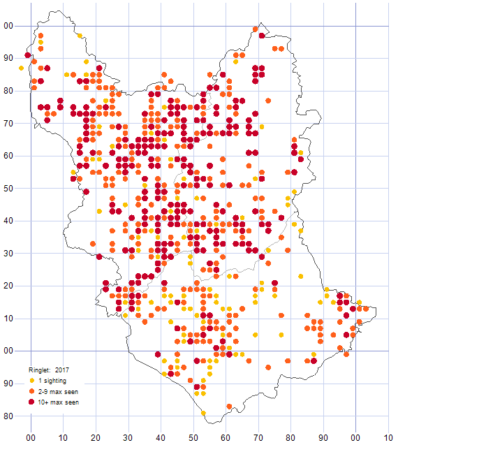 Ringlet distribution map 2017