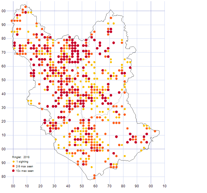 Ringlet distribution map 2018