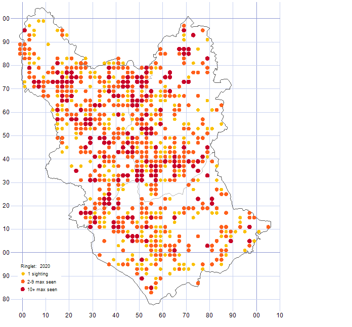 Ringlet distribution map 2020