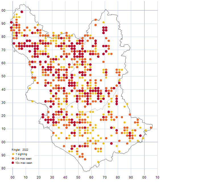 Ringlet distribution map 2022