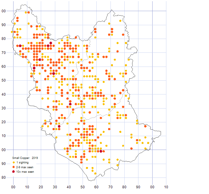 Small Copper distribution map 2019