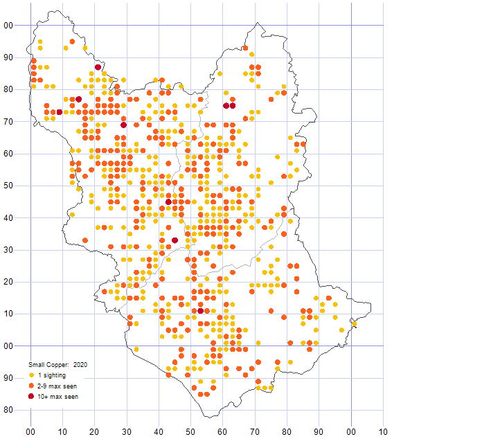 Small Copper distribution map 2020