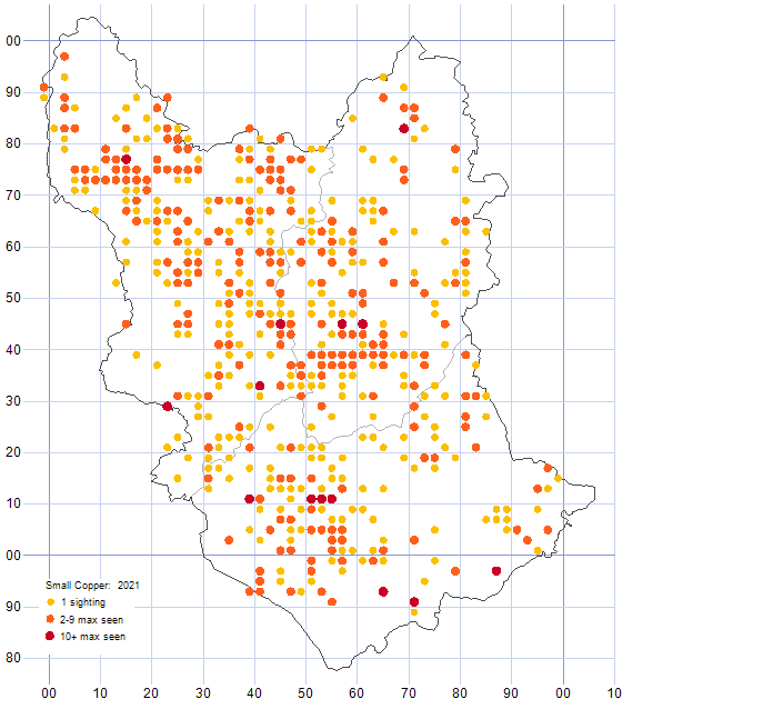 Small Copper distribution map 2021