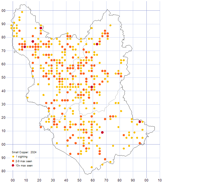 Small Copper distribution map 2024
