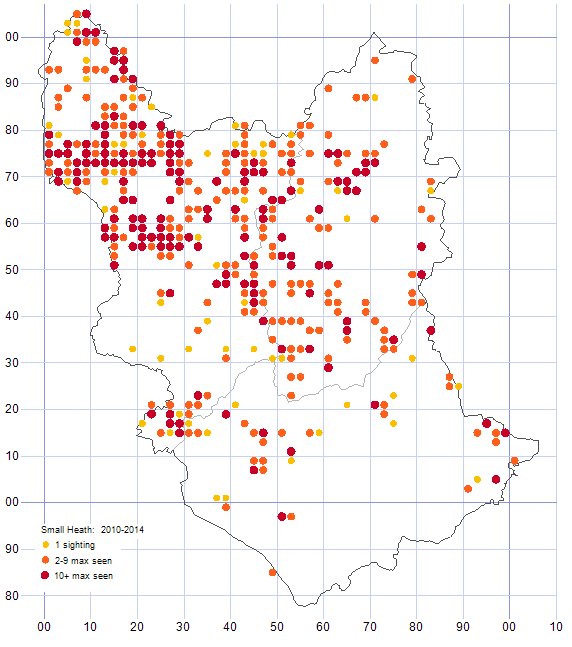 Small Heath distribution map 2010-14