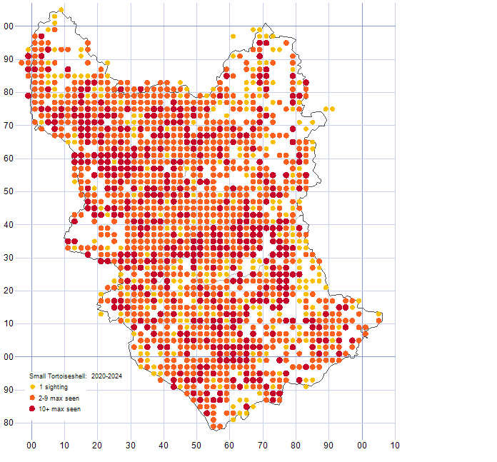 Small Tortoiseshell distribution map 2020-24