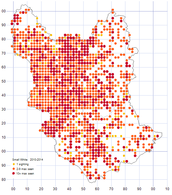 Small White distribution map 2010-14