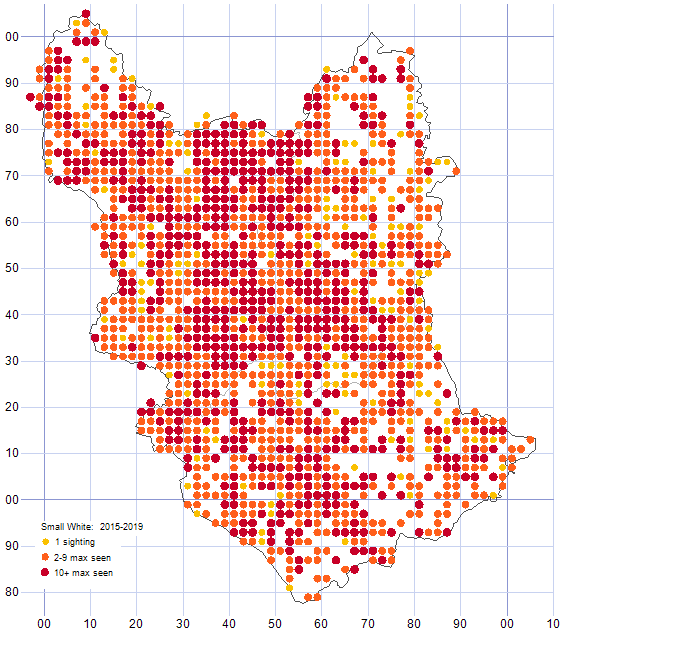 Small White distribution map 2015-19