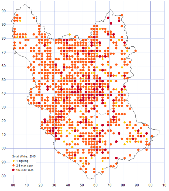 Small White distribution map 2015