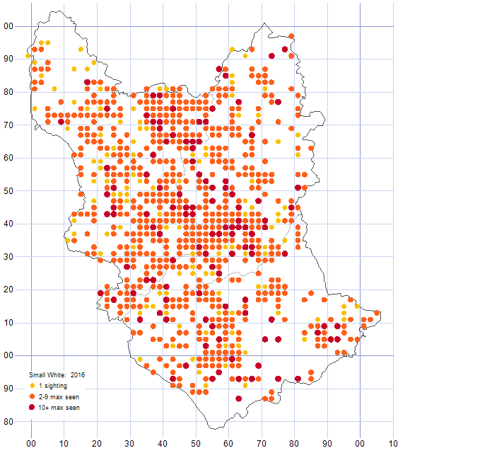 Small White distribution map 2016