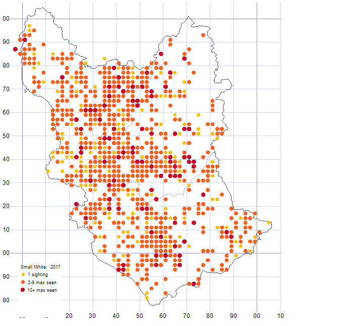 Small White distribution map 2017