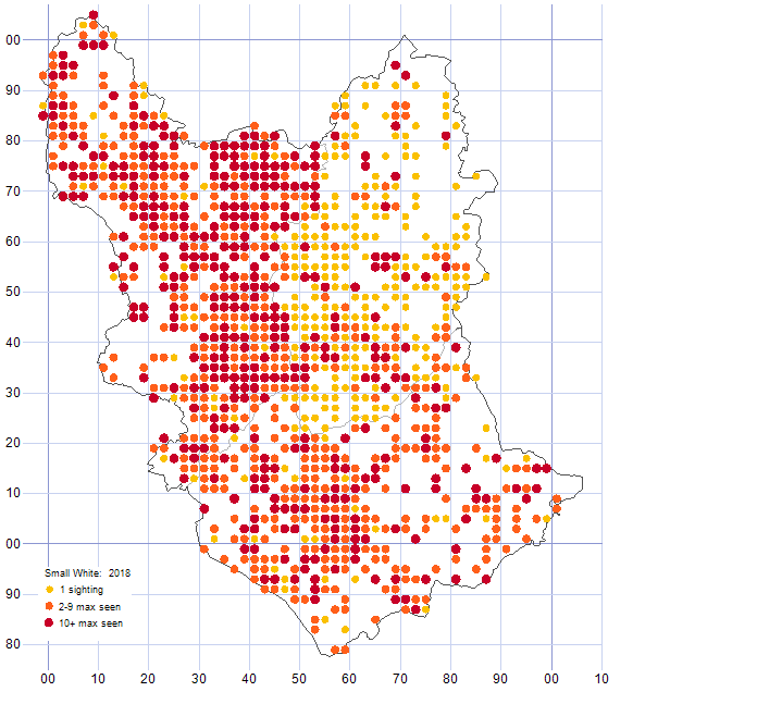 Small White distribution map 2018