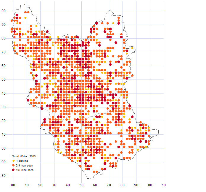 Small White distribution map 2019