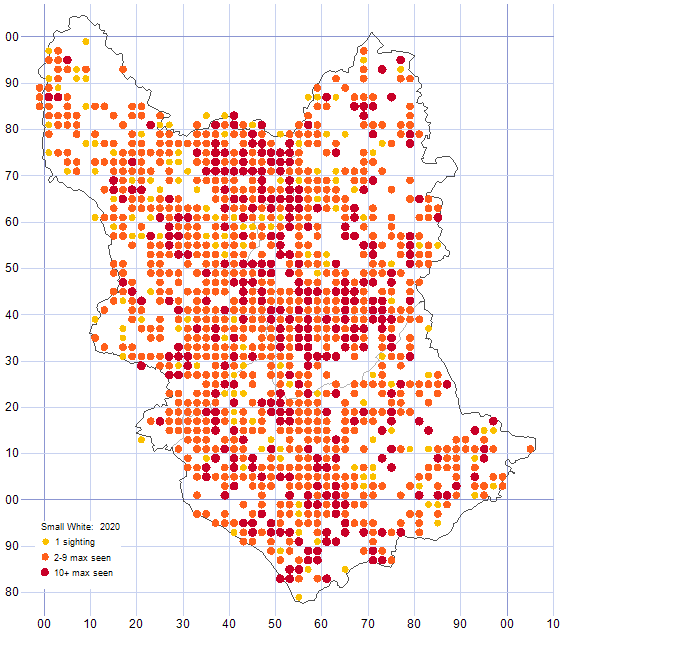 Small White distribution map 2020