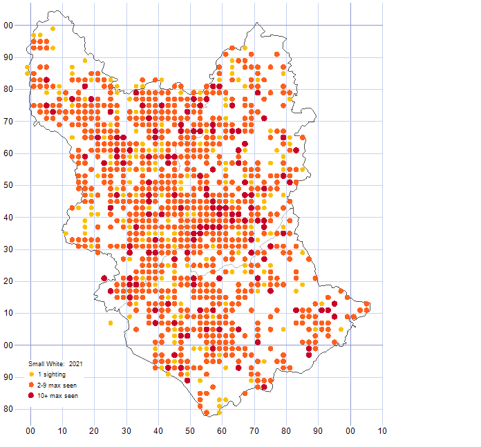 Small White distribution map 2021