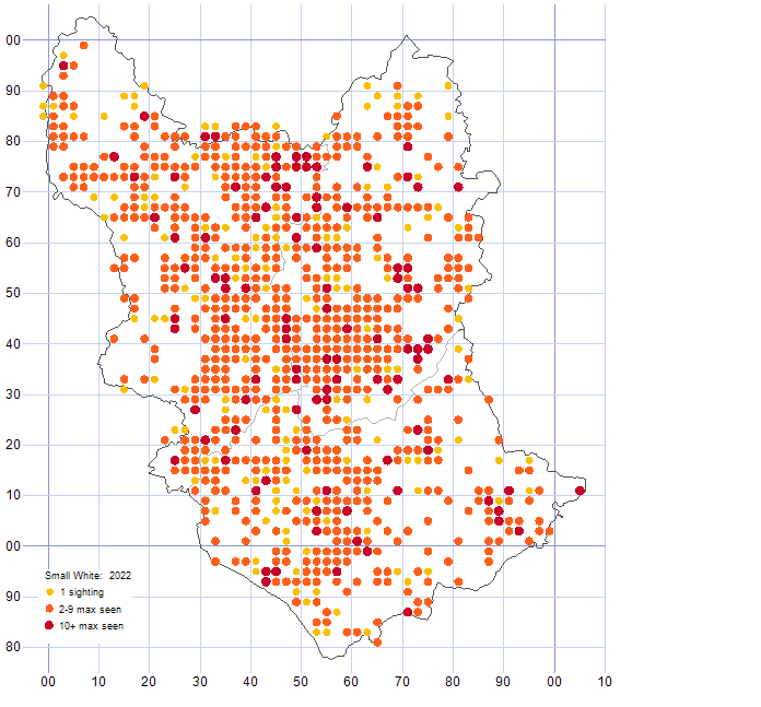 Small White distribution map 2022