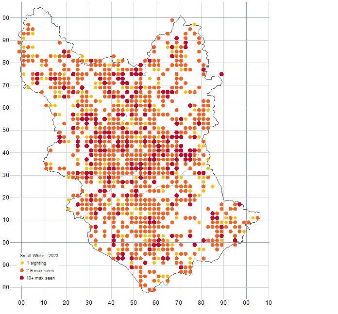 Small White distribution map 2023