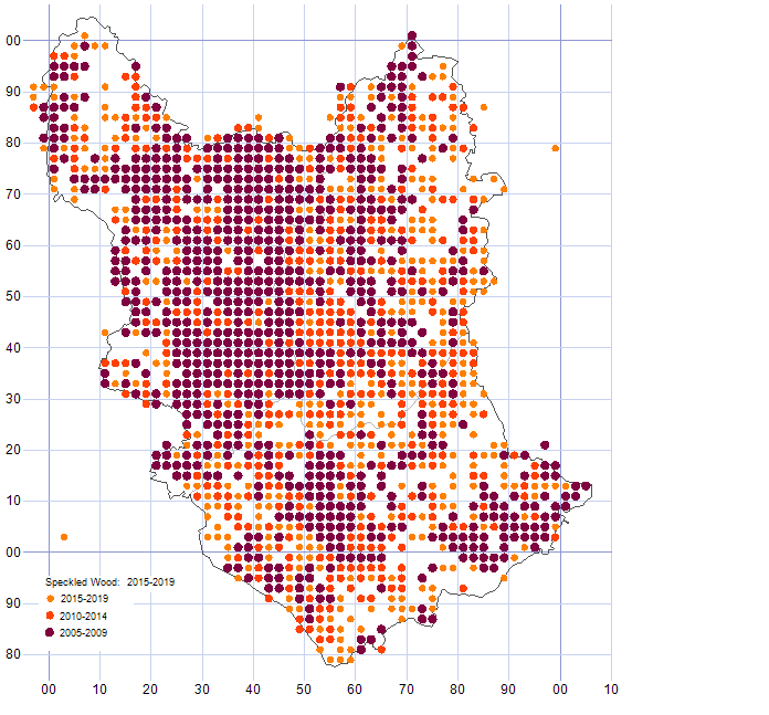 Speckled Wood distribution map comparison of 2005-19