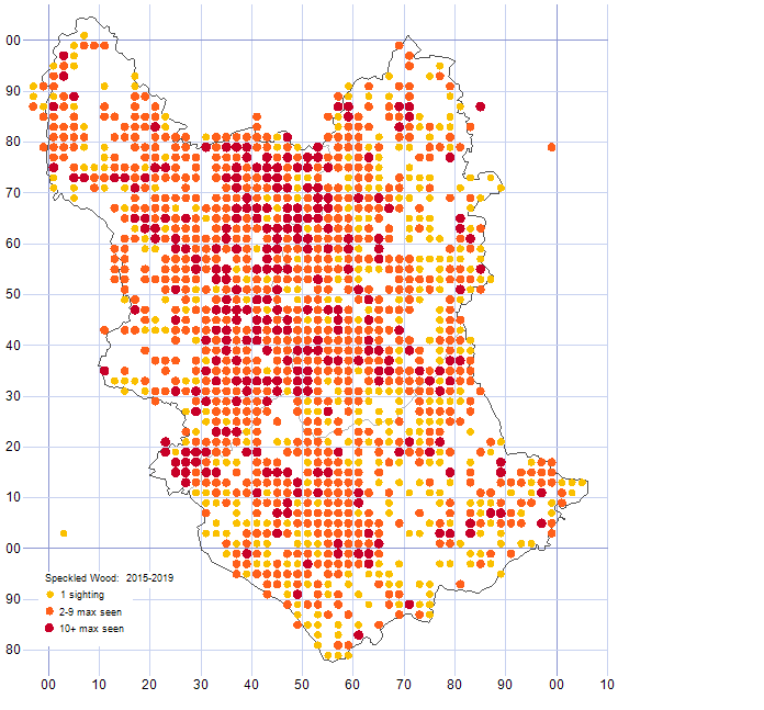 Speckled Wood distribution map comparison of 2015-19