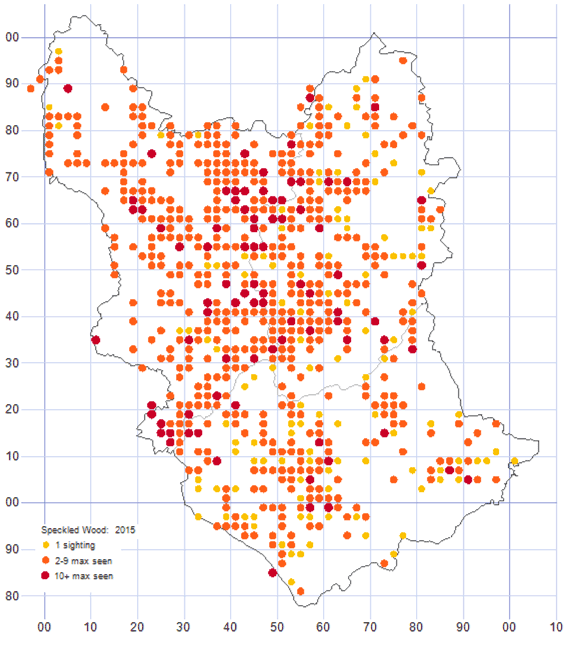 Speckled Wood distribution map 2015