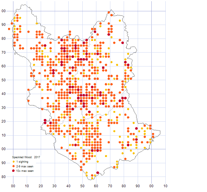 Speckled Wood distribution map 2017