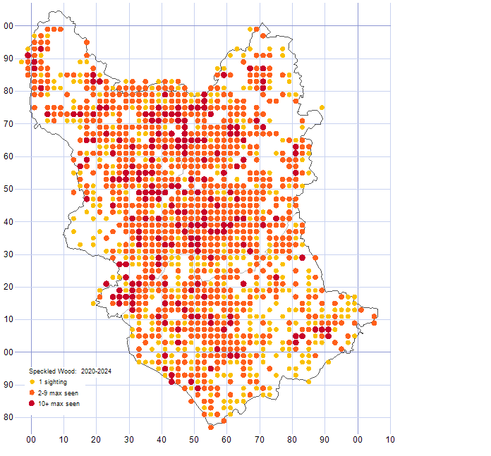 Speckled Wood distribution map comparison of 2020-24