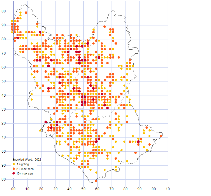 Speckled Wood distribution map 2022