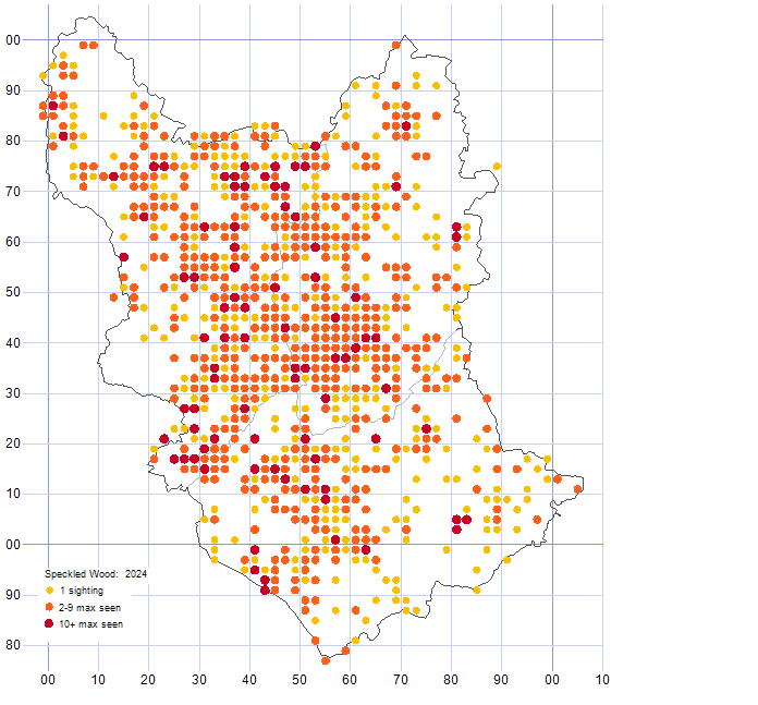 Speckled Wood distribution map 2024