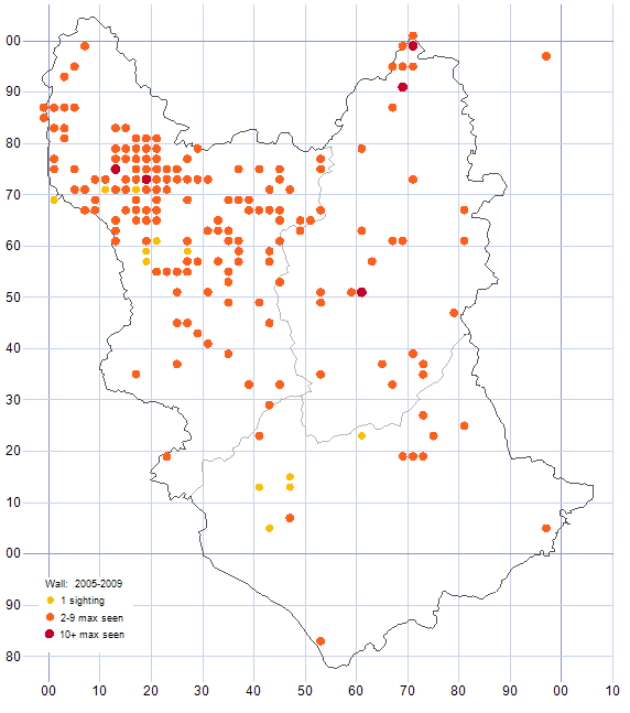 Wall distribution map 2005-09