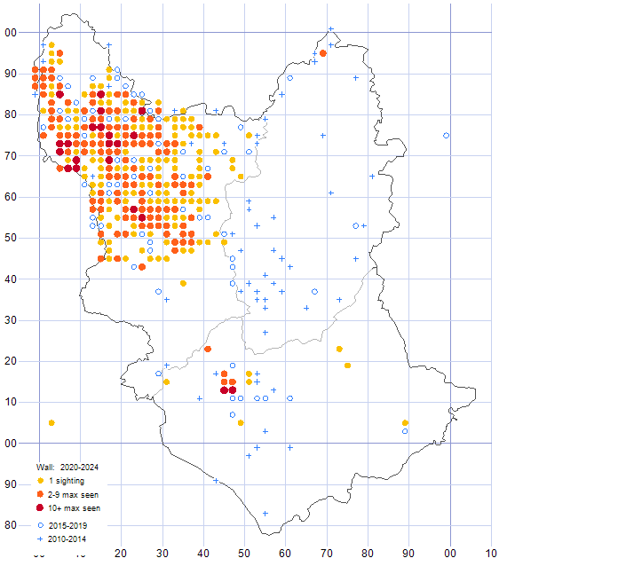 Wall distribution map 2010-24