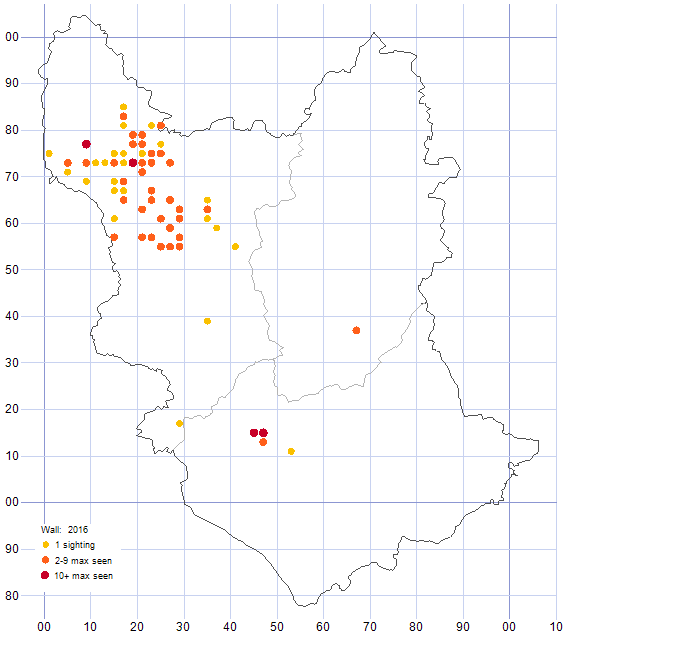Wall distribution map 2016