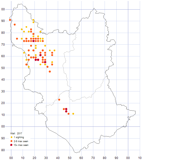 Wall distribution map 2017