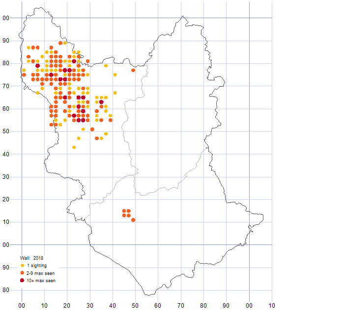 Wall distribution map 2018