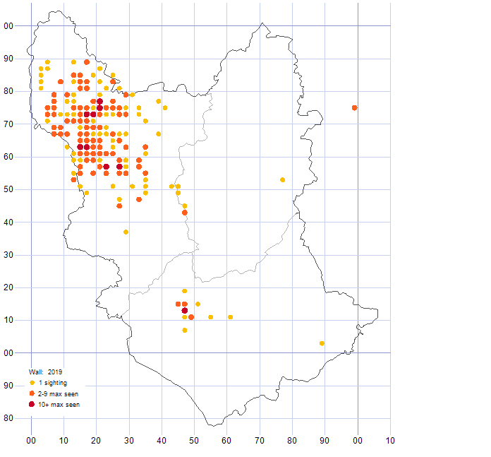 Wall distribution map 2019