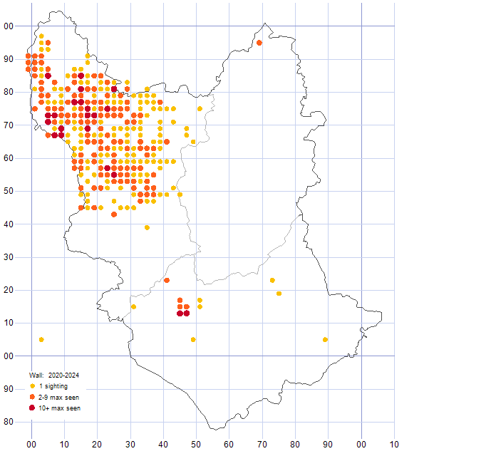 Wall distribution map 2020-24