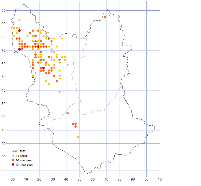 Wall distribution map 2020