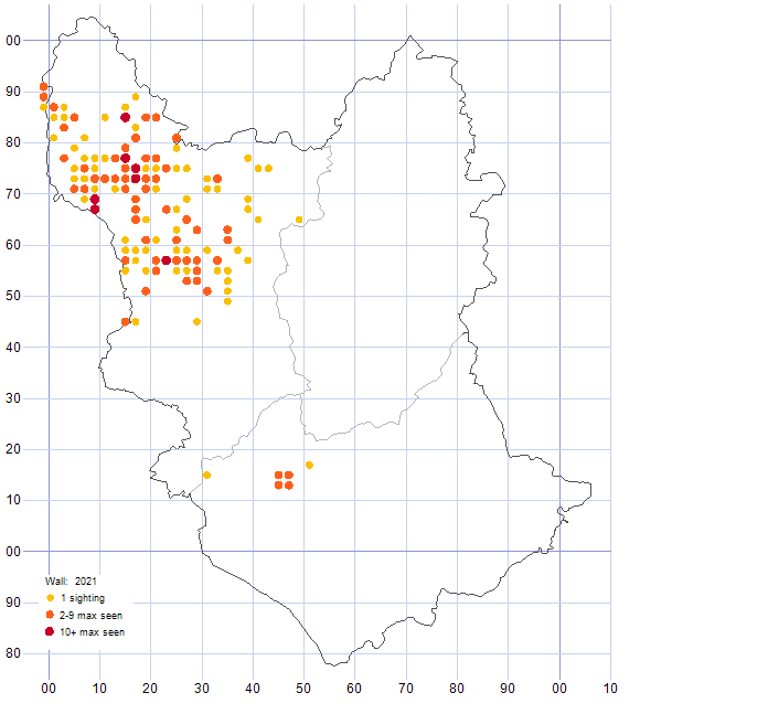 Wall distribution map 2021