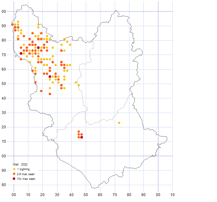 Wall distribution map 2022