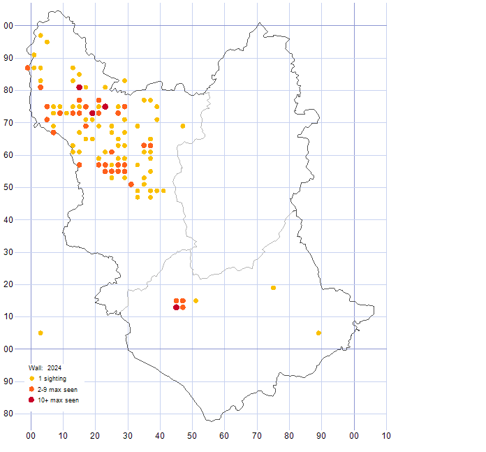 Wall distribution map 2024